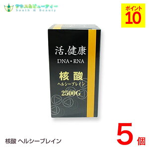 �j�_�w���V�[�u���C��2500G 5��