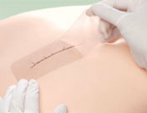 Ë@ nChRChn핢 JwbVuENA[^Cv C-12 30.0cm×5.0cm 10 15184 APA