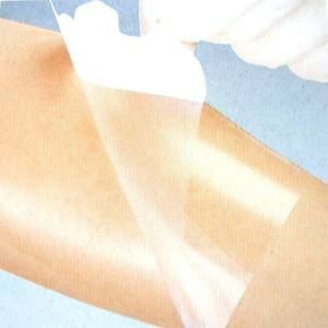 Ë@ EhT[WJtB }`tBbNX 5 StB80mm×180mm 20 16384 APA