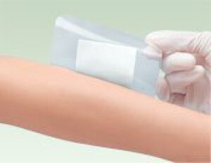 Ë@ EhT[WJtBpbht }`tBbNXEpbh 4 SJ100mm×125mm zpbh55mm×75mm 20 16923 APA