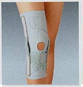 �G�֐ߌŒ�� �j�[�P�A�[�EACL L(��ڎ���41cm~45cm) 1�� 19173 �A���P�A