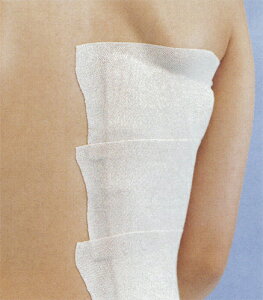 Se͕ GebNXES 4 3.8cm×L5.0m 8 15332 APA