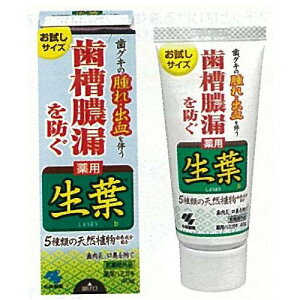 生葉b お試しサイズ 40g 小林製薬