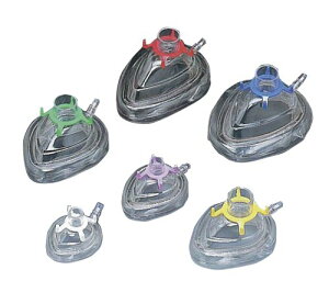 }XN GA[NbV}XN #5 lp() ID-2586 ACfAEfBJ