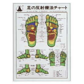 足の反射療法チャート 70×51cm 医道の日本社