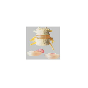 ͌^Human Model wjA͌^ 13cm×14cm×s15cm 300g QS68/3 \\