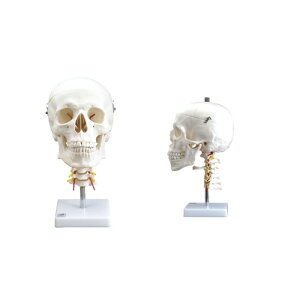 W͌^ ŕt4f IK31 W12.0×D20.5×H31.5cm 1.1kg
