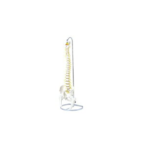 ^Ғ͌^ ڍtf IK41 {:88cmAX^hW30.8×D26.3×H94.0cm {2.7kg