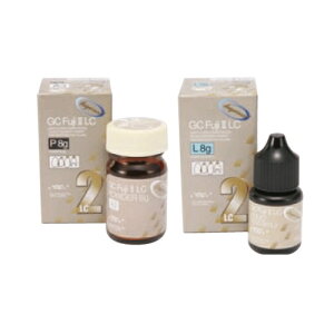 Ë@ tWII LC  A3.5 8g×1{ GC W[V[