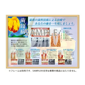 フレームアート 歯周病 453×604mm 1枚入 SmartPractice
