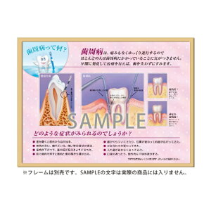 t[A[g aĉ? 453×604mm 1 SmartPractice