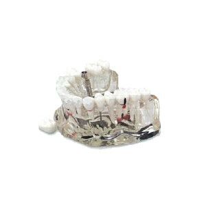 {Cvgp͌^ 73×35×s62mm 1 TM-067
