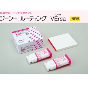 ڒ[eBOZg [eBOVErsa(o[T)J[gbW zCg 1:J[gbW12.0g(7.2mL)2{Aa(No.22)1 GC