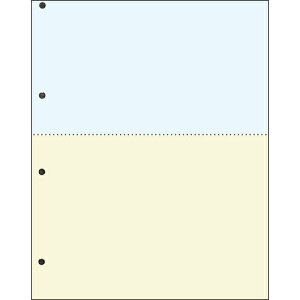 TANOSEE ėp}`^Cvv^[ J[p A4 2 4 1(2500:500×5) CPPA42C25F ˏ