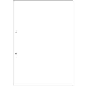 TANOSEE マルチプリンタ帳票 複写タイプ A4 ノーカーボン 白紙2穴 1箱(500枚:100枚×5冊) BPCT2001 大塚商会