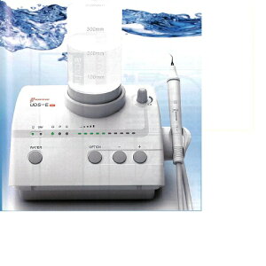 yË@z gXP[[ ANZT[p[c EXP[[ 1Zbg EbhybJ[