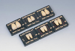 医療機器 ブレンド陶歯 下顎 卵円型(O) 204 1組(6歯) 松風