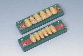 医療機器 エース前歯 中種32 下顎 4 1組(6歯) 松風