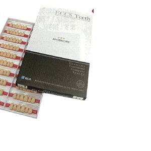 �y��Ë@��z �l�H�� �d�����W���� �G�N�X���W���O���v���[�g�^�C�v S5 ���{ �F��55 6��/�v���[�g