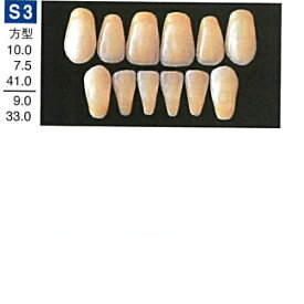 【医療機器】 人工歯 硬質レジン歯 プロテックス前歯 S3 上顎 色調A3 6歯入