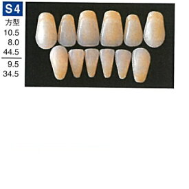 【医療機器】 人工歯 硬質レジン歯 プロテックス前歯 S4 上顎 色調A3 6歯入
