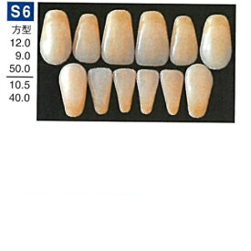 【医療機器】 人工歯 硬質レジン歯 プロテックス前歯 S6 下顎 色調A2 6歯入