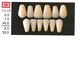 【医療機器】 人工歯 硬質レジン歯 プロテックス前歯 C3 下顎 色調A2 6歯入