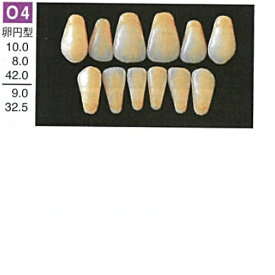 【医療機器】 人工歯 硬質レジン歯 プロテックス前歯 O4 上顎 色調A3.5 6歯入