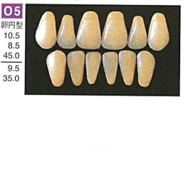【医療機器】 人工歯 硬質レジン歯 プロテックス前歯 O5 下顎 色調A2 6歯入