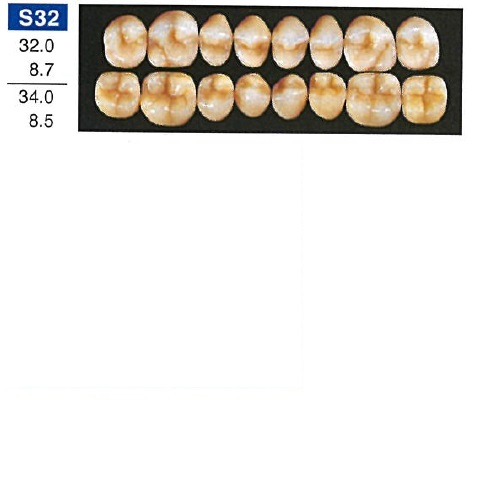 【医療機器】 人工歯 硬質レジン歯 プロテックス臼歯 S32 下顎 色調A3.5 8歯入