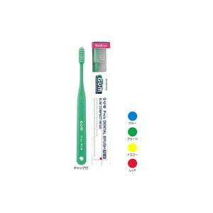 KEvY f^uV XRpNgwbh ~fBA 4FA\[g 12{ RS-M TX^[