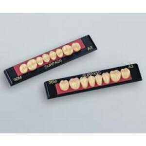 �T�[�p�X�P�� ���{ 28S C3 8��=1�� GC