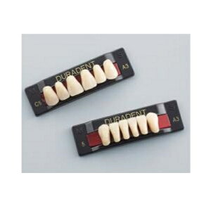 �f�����f���g �O�� ��{ CL5 C3 6��=1�� GC