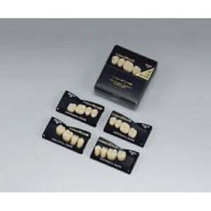 Ë@ ufg O[X P E{ AS-31M A3 1=ꏬP~P41(㉺E) GC