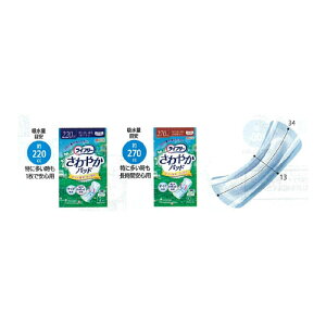 16܂܂Ƃߔ Ct[ ₩pbh ɑ1ňSp 12 jE`[