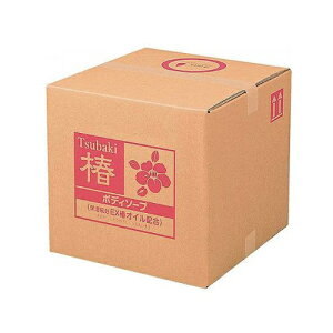 SCRITT XNbg  {fB\[v RbNt 18L 4222 F