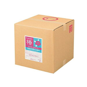 SCRITT XNbg  XCVv[ RbNt 18L 4223 F