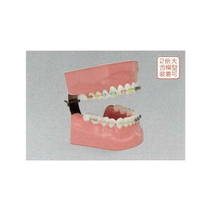 2{厕wp{͌^() PE-ORT002 jbV