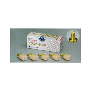 ZX}[g 300 A3.5LT TCY12 5 GC