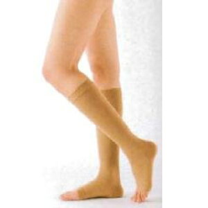 Ë@ eXgbLO AVNE3 nC\bNX ubN L a21-25cm ӂ͂a36-42cm 1 18632 APA