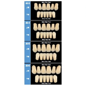 【特価商品】 医療機器 リブデント グレース 前歯 左下顎 AS-5 A2 1函=中切歯~犬歯3揃1個(上下左右側別) GC