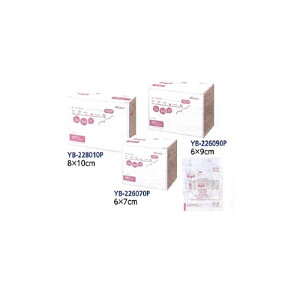 yʈË@z GAEH[ӁEEpbh 30 YB-228010P a