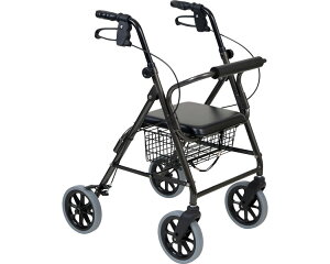 nbs[IIg[ 117070 | q[}PAƕ TAISR[hF00110-000127