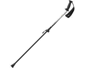 GXR[g|[@1{g Vo[O[ C3JES91004 ~Ym