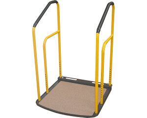 肷1iȂj KT11 LVEGWjAO TAISR[hF00398-000015