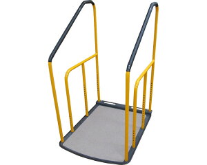 肷2iȂj KT21 LVEGWjAO TAISR[hF00398-000016