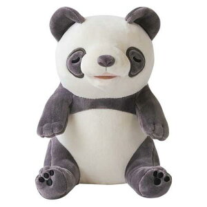 Ê݃nn ^p_ YE-HM001PD JCHw