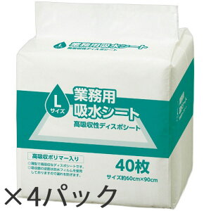 ƖpzV[g LTCY(X[p[Ch) 1P[X(4pbN) TQ040S TANOSEE