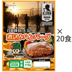 ύ݃no[O 1P[X(20H) 202111-05-02 {n