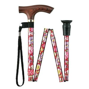 X}CXebL(܂肽݁Eאg) FS-20RF ԉԕ }LebN